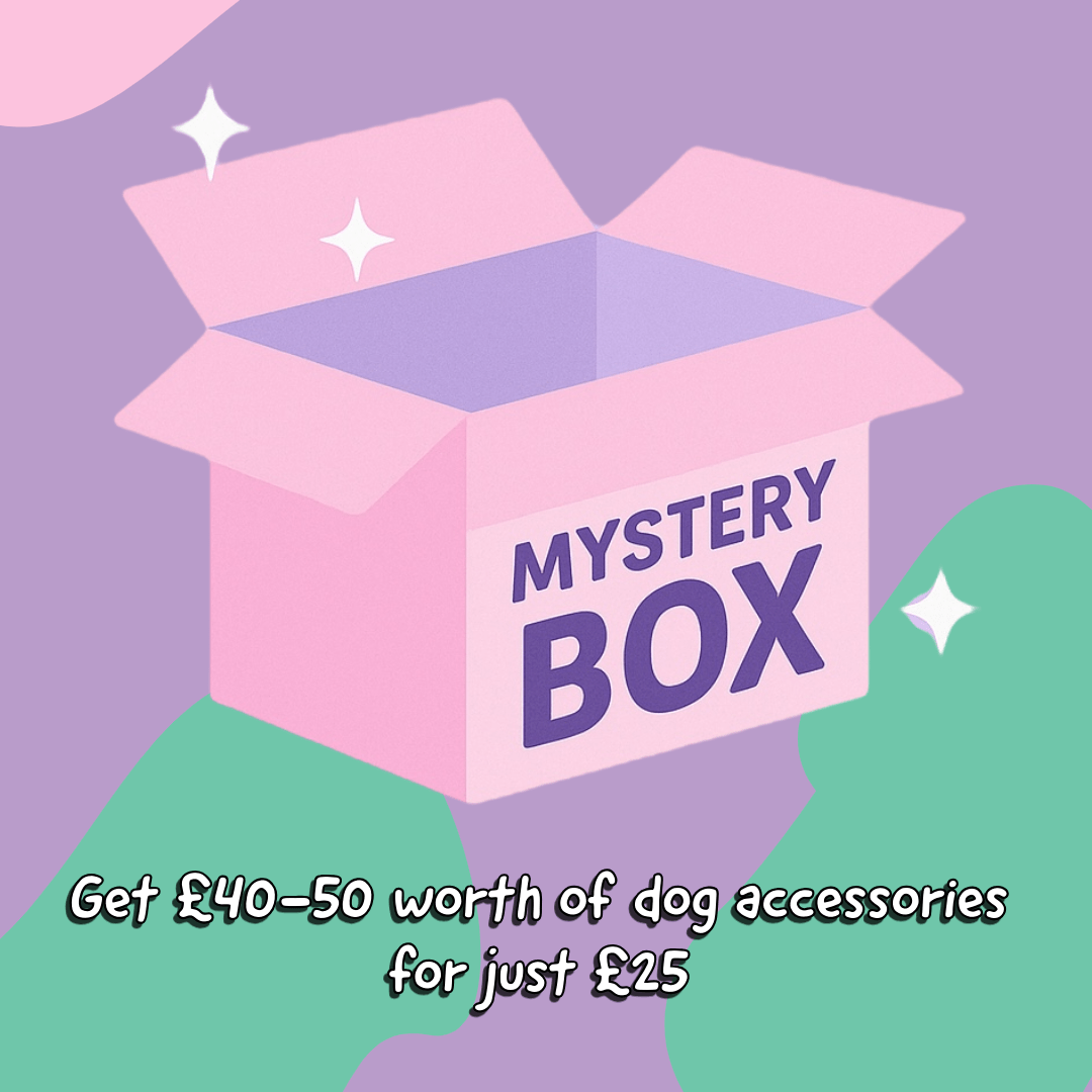 Dog Accessory Mystery Box – Worth Up to £50 for Just £25! - Pup Chic Boutique