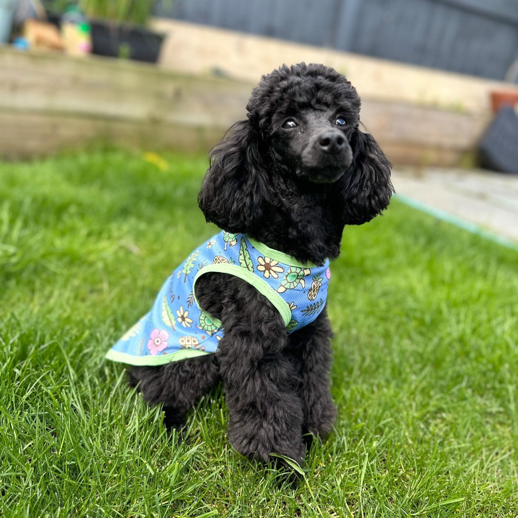 Dog Cooling Vests – Keep Your Dog Cool and Comfortable in the Heat - Pup Chic Boutique