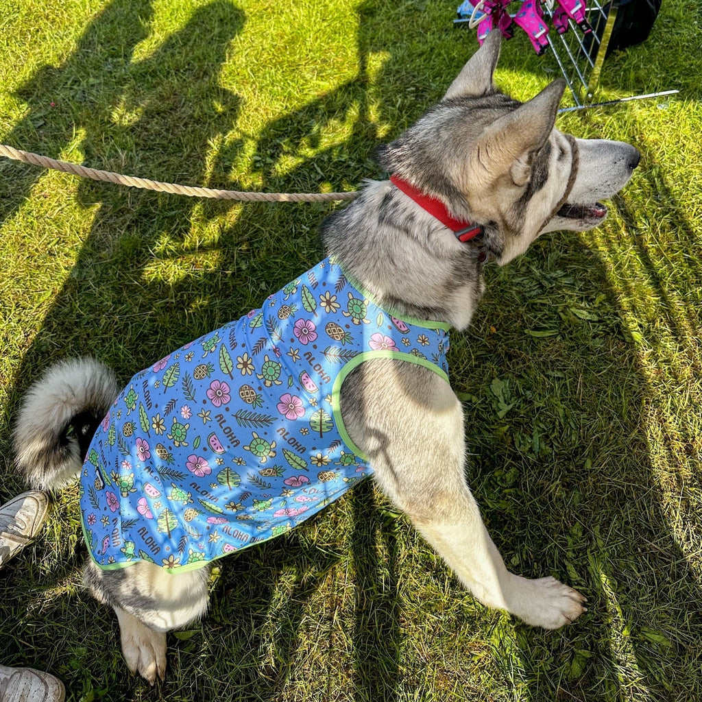 Dog Cooling Vests – Keep Your Dog Cool and Comfortable in the Heat - Pup Chic Boutique