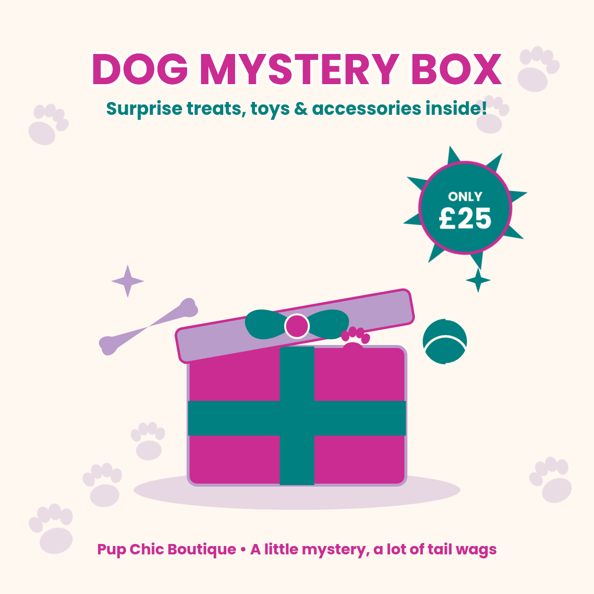 Dog Accessory Mystery Box – Worth Up to £50 for Just £25!