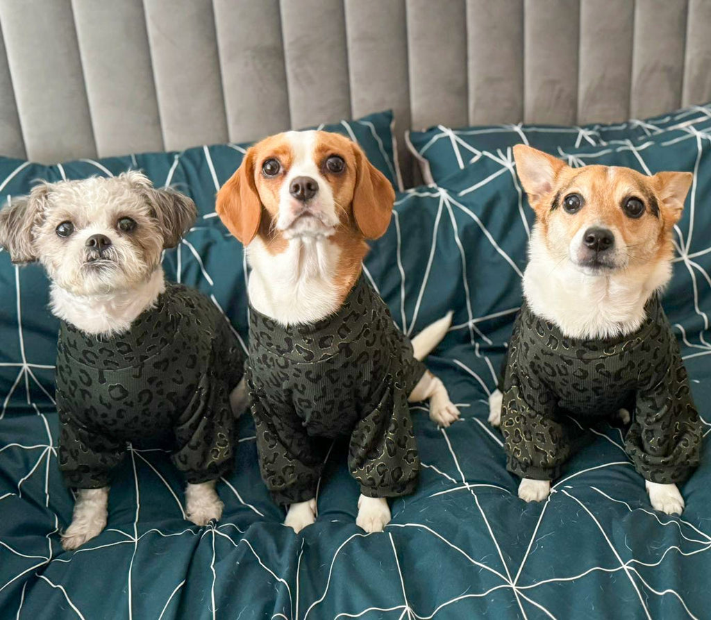 Emerald Green animal print dog top - animal print luxury dog matching outfit - Pup Chic Boutique