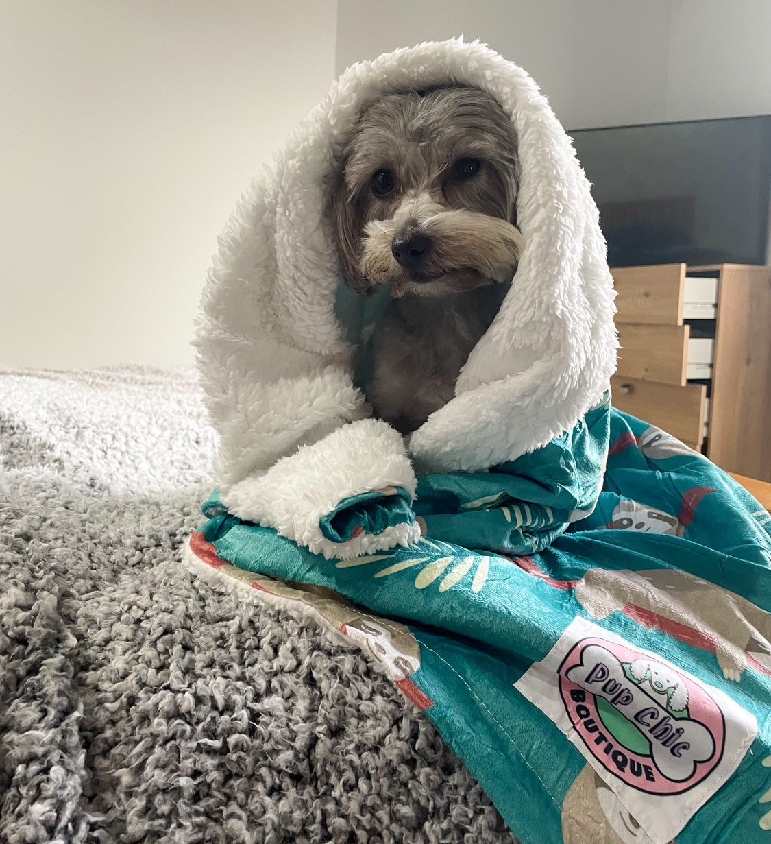 Lazy Sloth LARGE blanket - fleece dog blanket