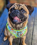 Prehistoric Pup Adjustable Step-in Harness - Sage Green Dinosaur harness