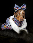 Sample Sale: Artful Dogster blanket - fleece dog blanket