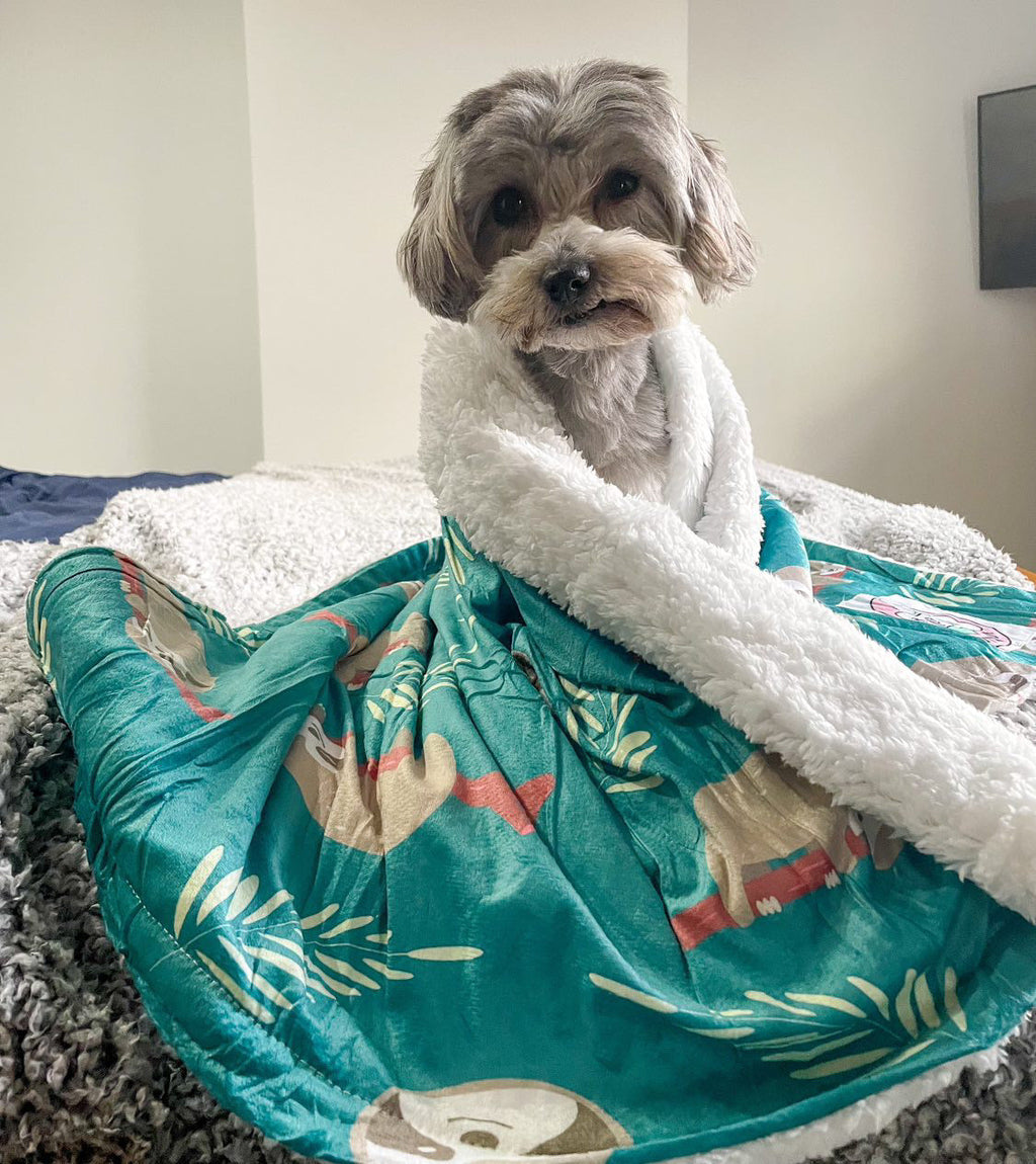 Lazy Sloth LARGE blanket - fleece dog blanket - Pup Chic Boutique