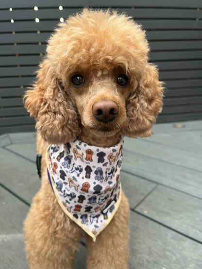 Oodles of Poodles Cooling Bandana - Pup Chic Boutique