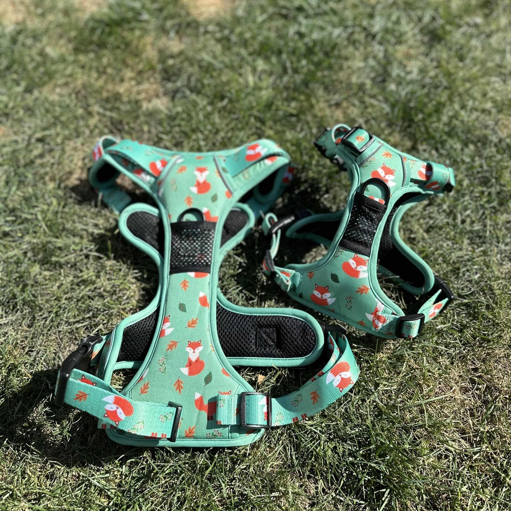 Inquisitive Fox No Pull Tactical Dog Harness – Green Fox Print, Adjustable, Step - In (XS - XL) - Pup Chic Boutique