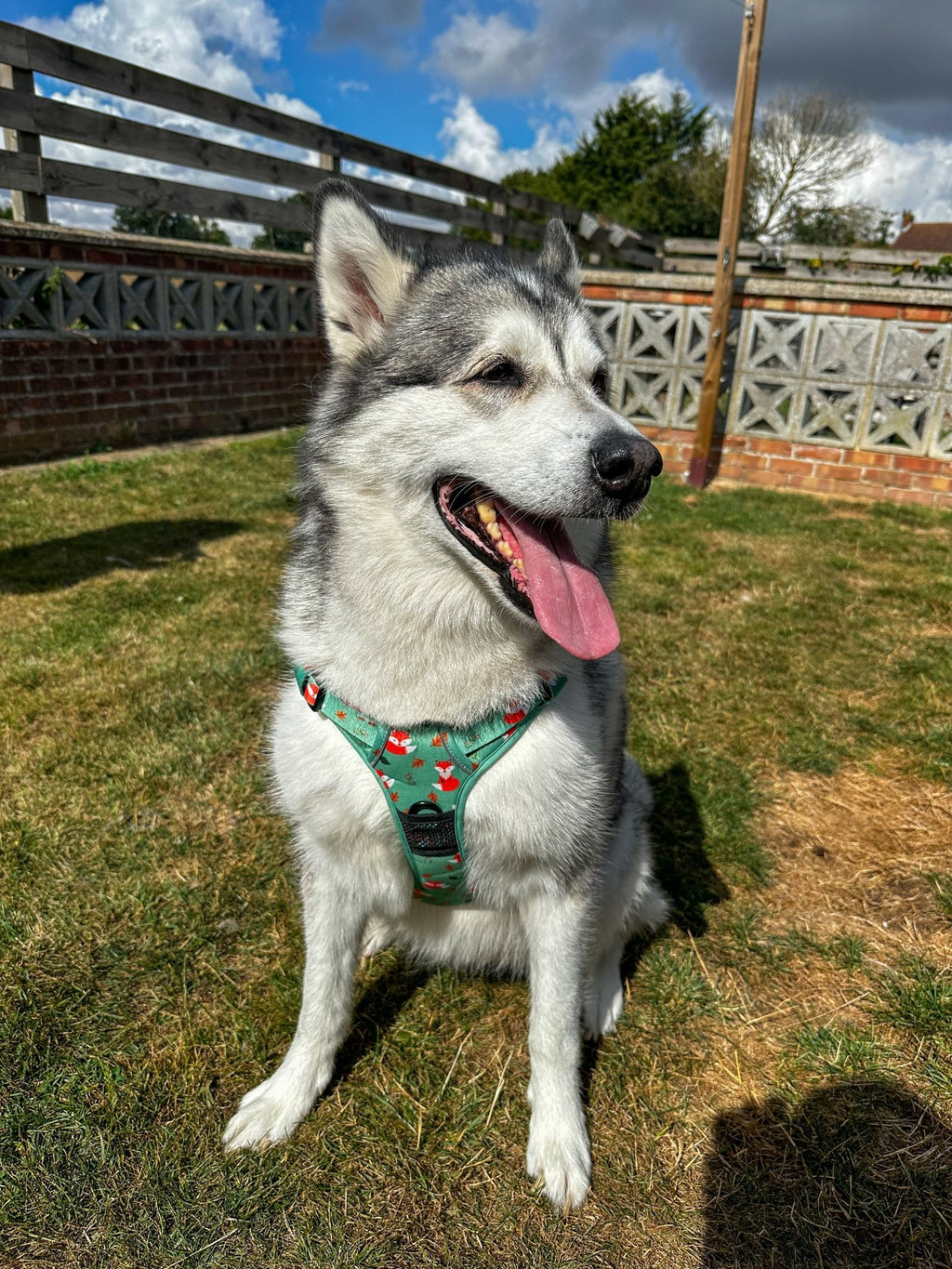 Inquisitive Fox No Pull Tactical Dog Harness – Green Fox Print, Adjustable, Step - In (XS - XL) - Pup Chic Boutique