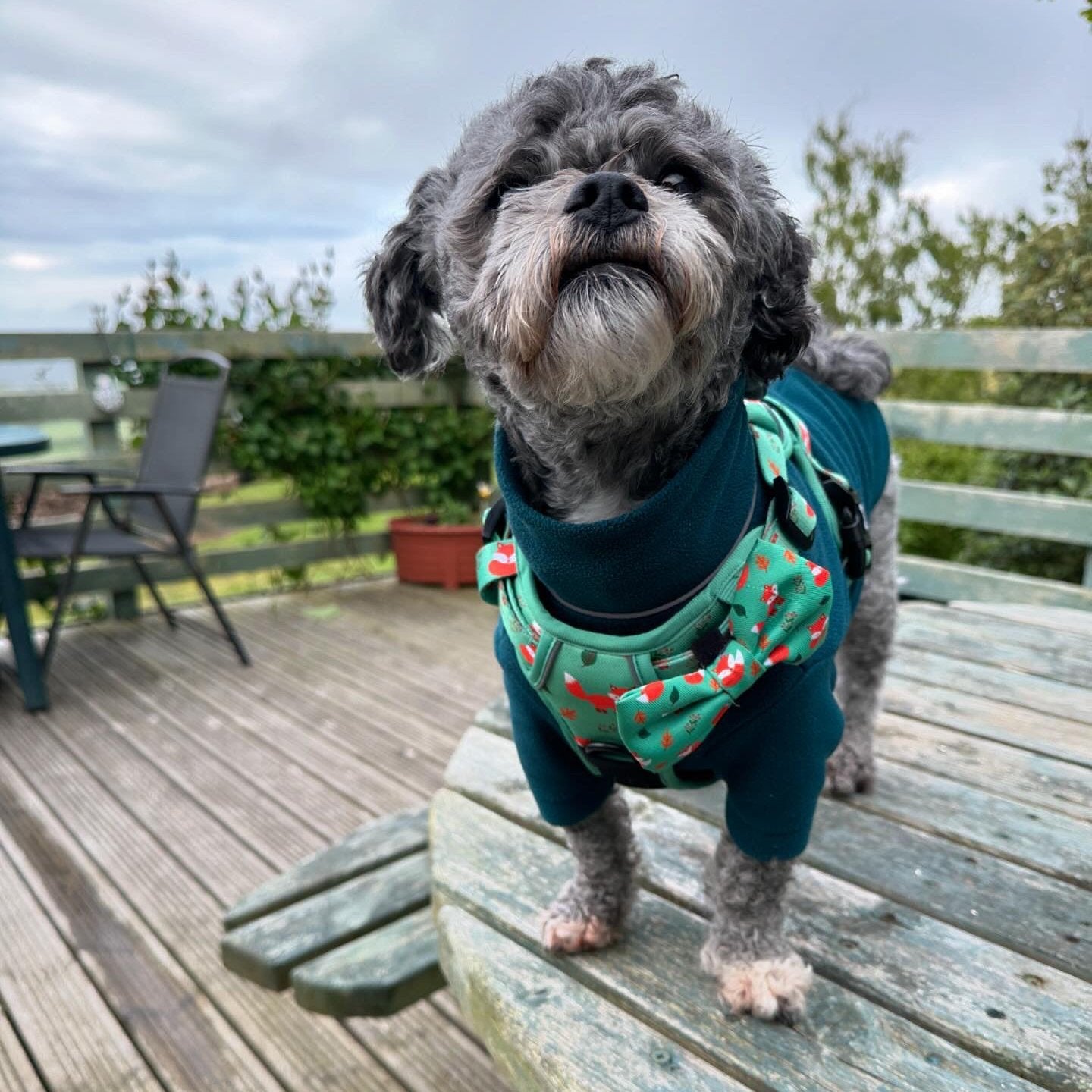 Inquisitive Fox No Pull Tactical Dog Harness – Green Fox Print, Adjustable, Step - In (XS - XL) - Pup Chic Boutique