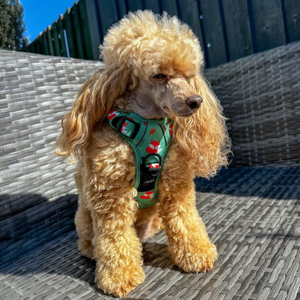 Inquisitive Fox No Pull Tactical Dog Harness – Green Fox Print, Adjustable, Step - In (XS - XL) - Pup Chic Boutique