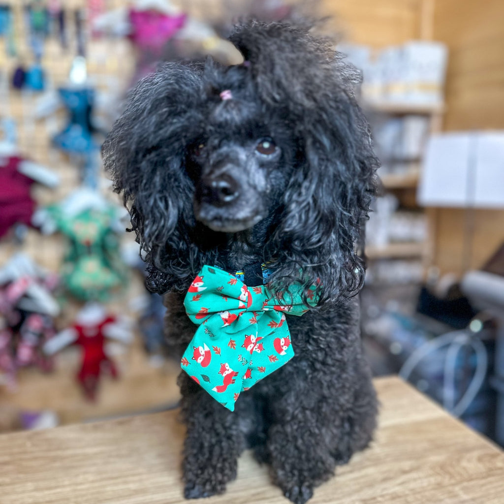 Inquisitive Fox Sailor Bow Tie for Dog - Pup Chic Boutique