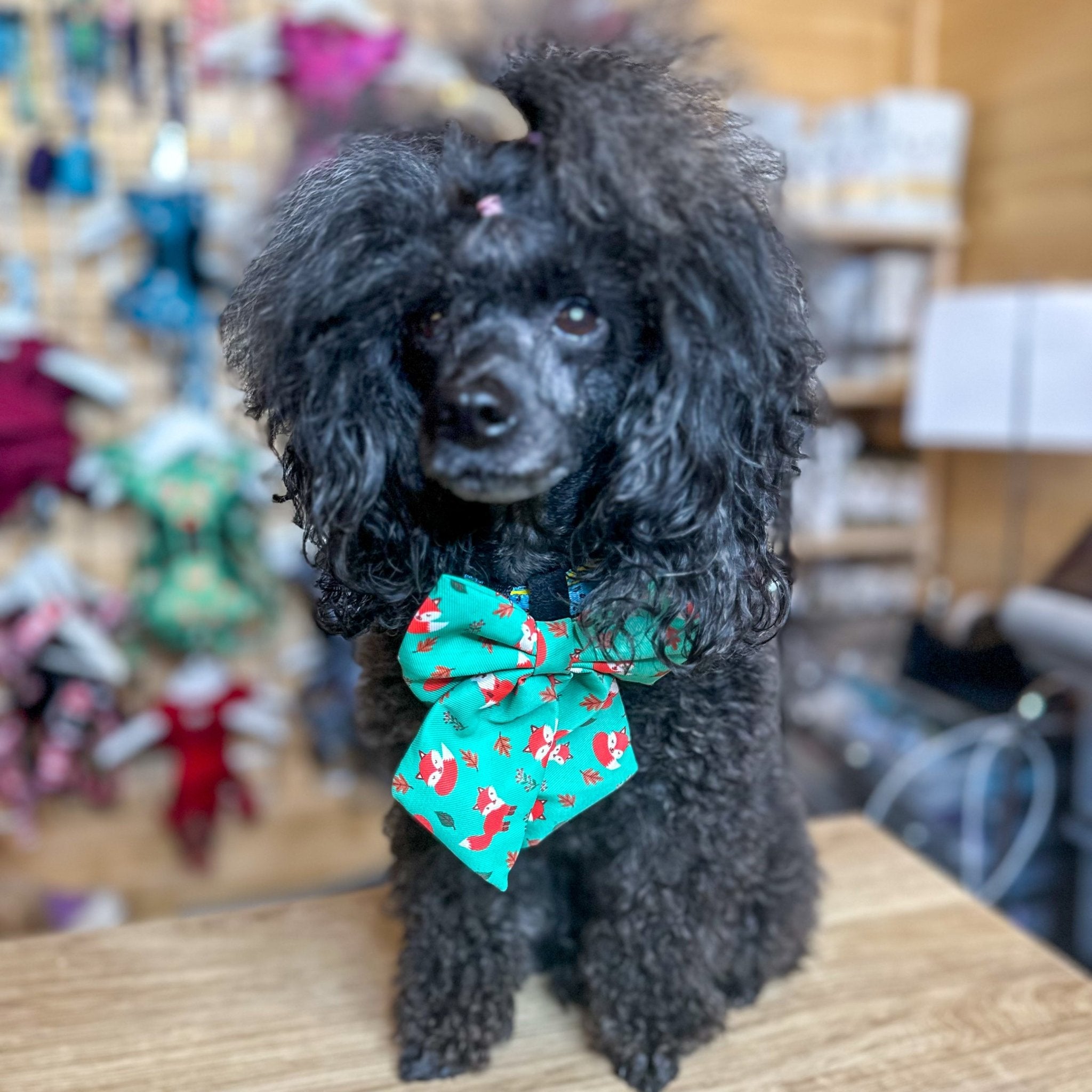 Inquisitive Fox Sailor Bow Tie for Dog - Pup Chic Boutique