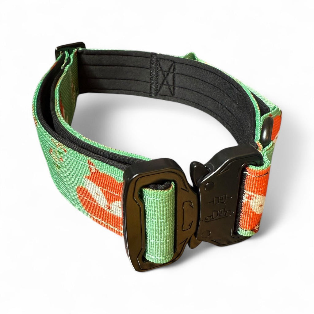 Inquisitive Fox Tactical Dog Collar - Pup Chic Boutique
