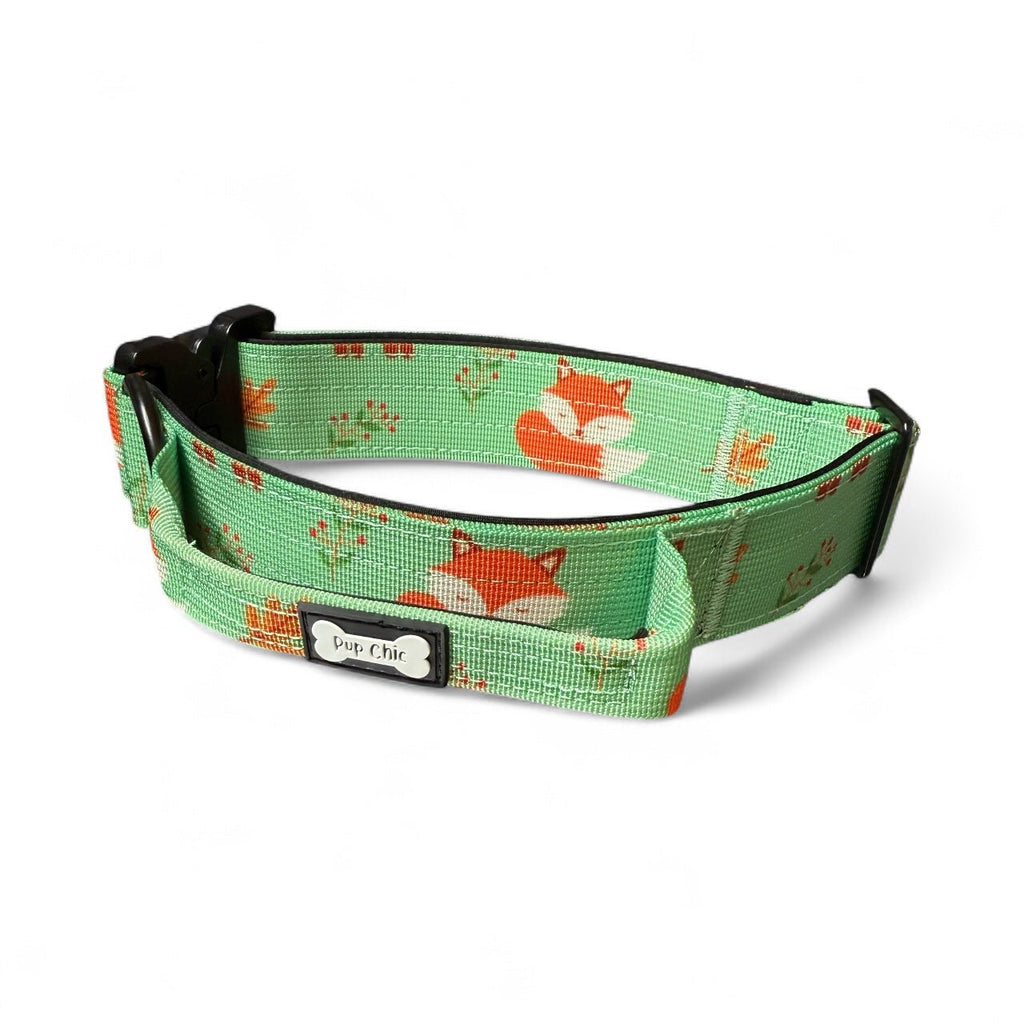 Inquisitive Fox Tactical Dog Collar - Pup Chic Boutique