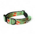 Inquisitive Fox Tactical Dog Collar - Pup Chic Boutique