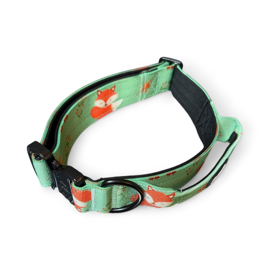 Inquisitive Fox Tactical Dog Collar - Pup Chic Boutique