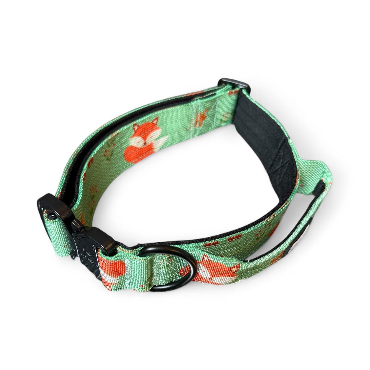 Inquisitive Fox Tactical Dog Collar - Pup Chic Boutique