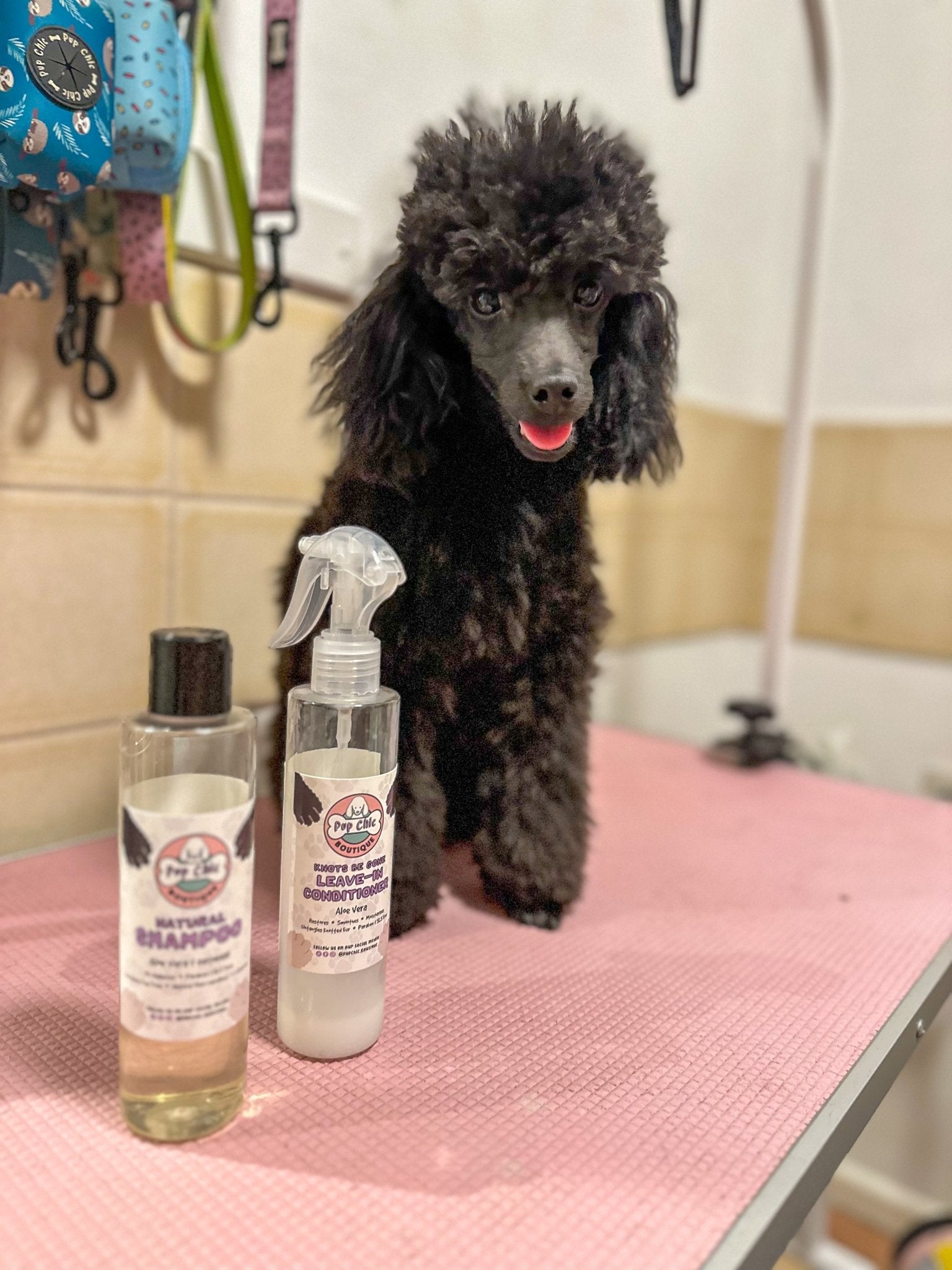 Knots Be Gone Leave - in Conditioner - Pup Chic Boutique