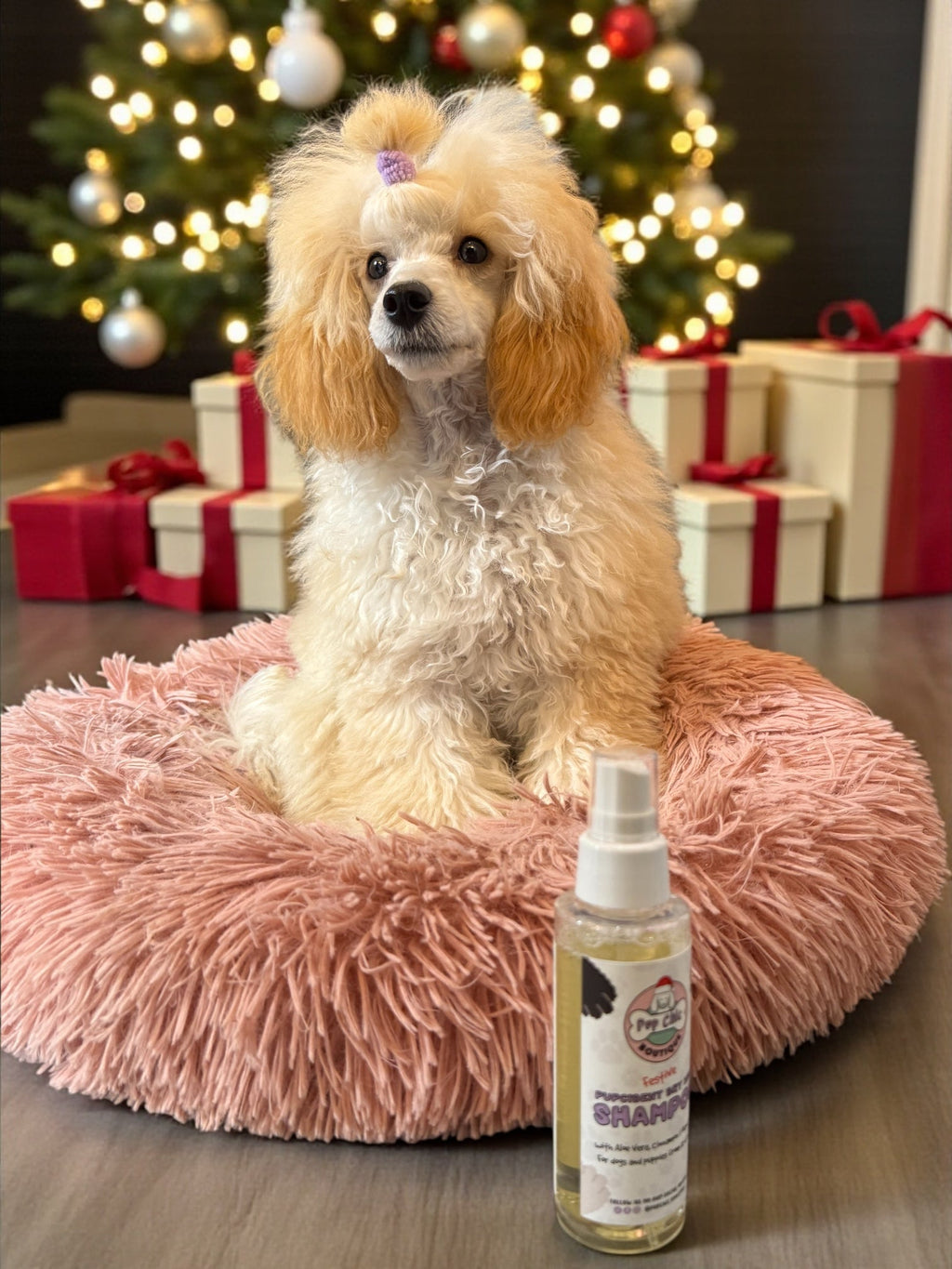 Limited Edition Festive Pupcident Dry Wash Shampoo – Cinnamon & Mandarin with Aloe Vera 🎄 - Pup Chic Boutique