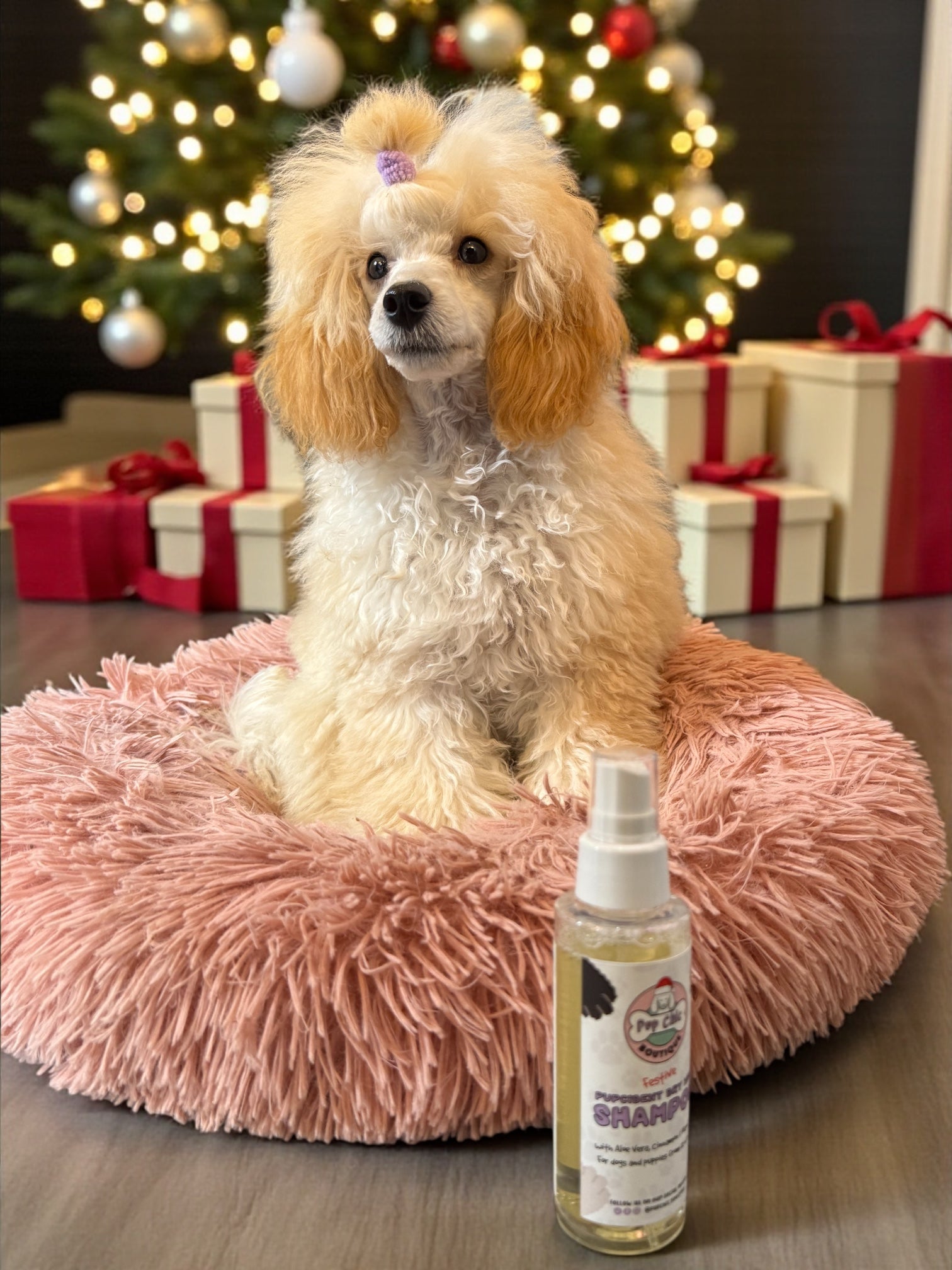 Limited Edition Festive Pupcident Dry Wash Shampoo – Cinnamon & Mandarin with Aloe Vera 🎄 - Pup Chic Boutique