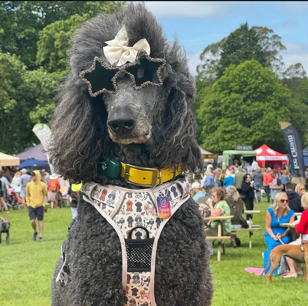 Oodles of Poodles No Pull Tactical Dog Harness – Tuff Stuff Dog Harnesses for Pullers & Poodles - Pup Chic Boutique