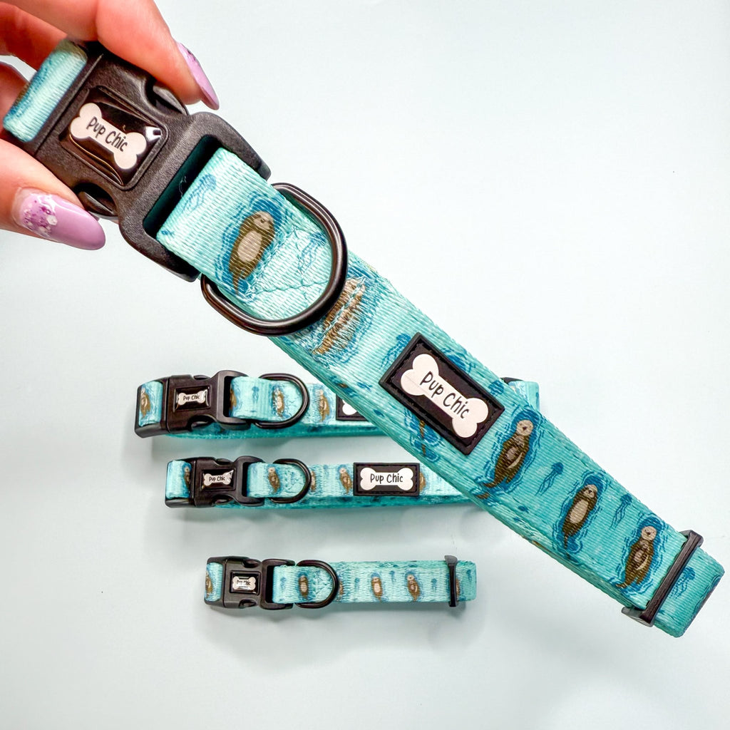 Otterly Lovely Dog Collar - Pup Chic Boutique