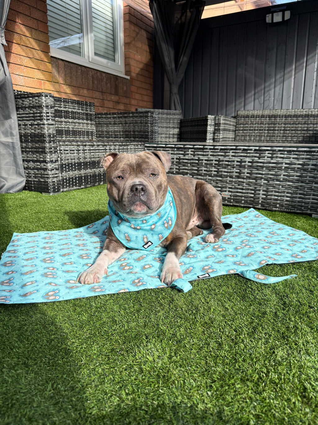 Otterly Lovely Dog Settle Mat - The Perfect Travel Mat for Your Dog! 🦦💙 - Pup Chic Boutique