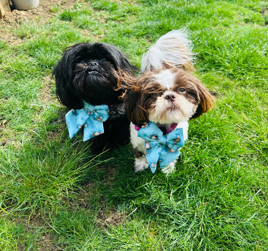 Otterly Lovely Sailor bow 🦦💙 - Pup Chic Boutique