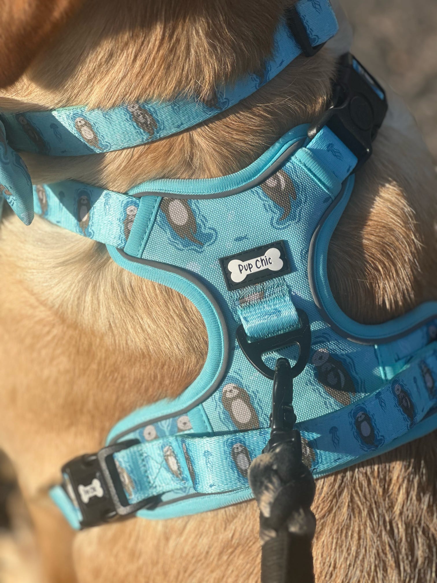 Otterly Lovely Tactical Dog Harness - Pup Chic Boutique