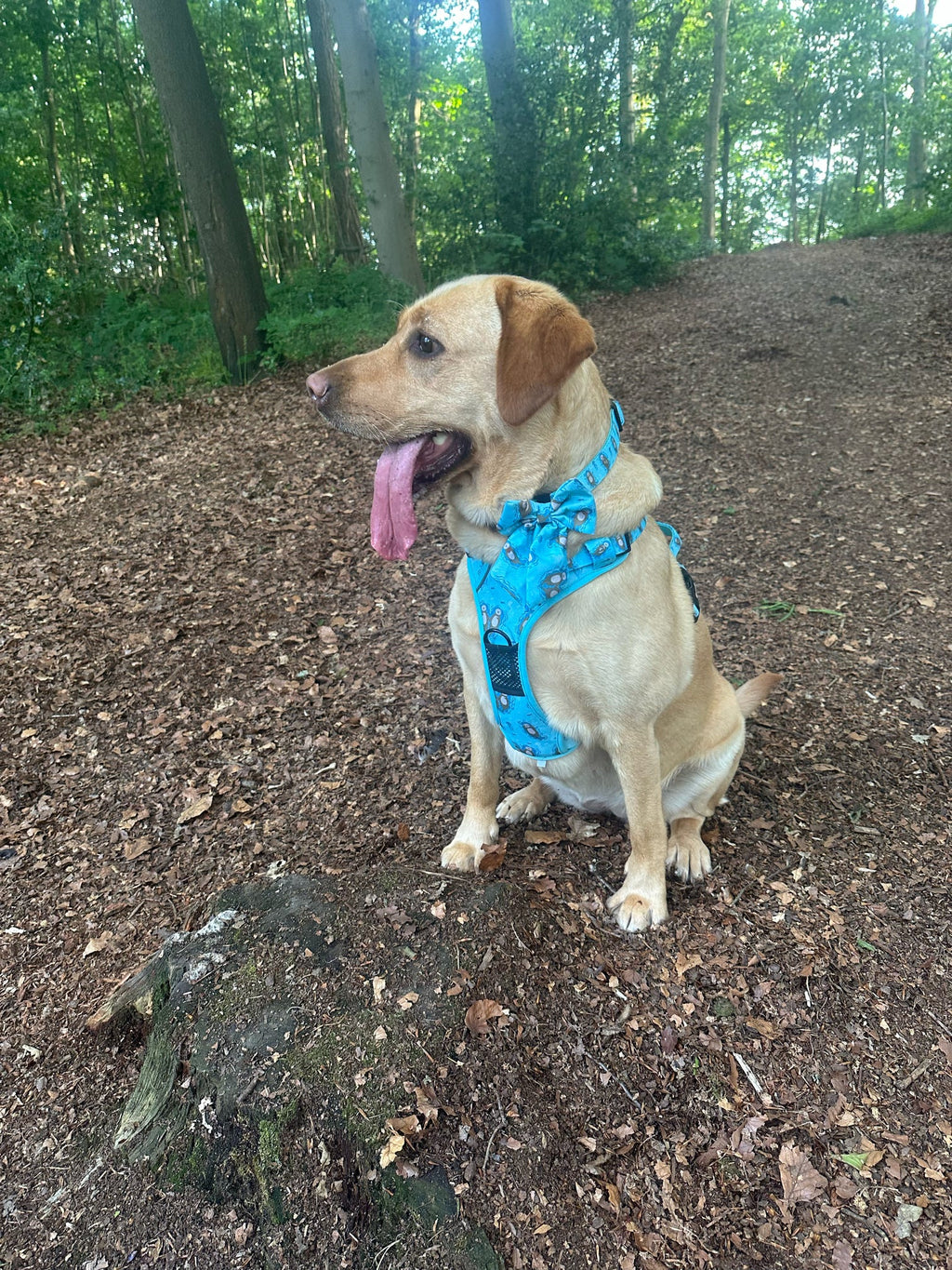 Otterly Lovely Tactical Dog Harness - Pup Chic Boutique