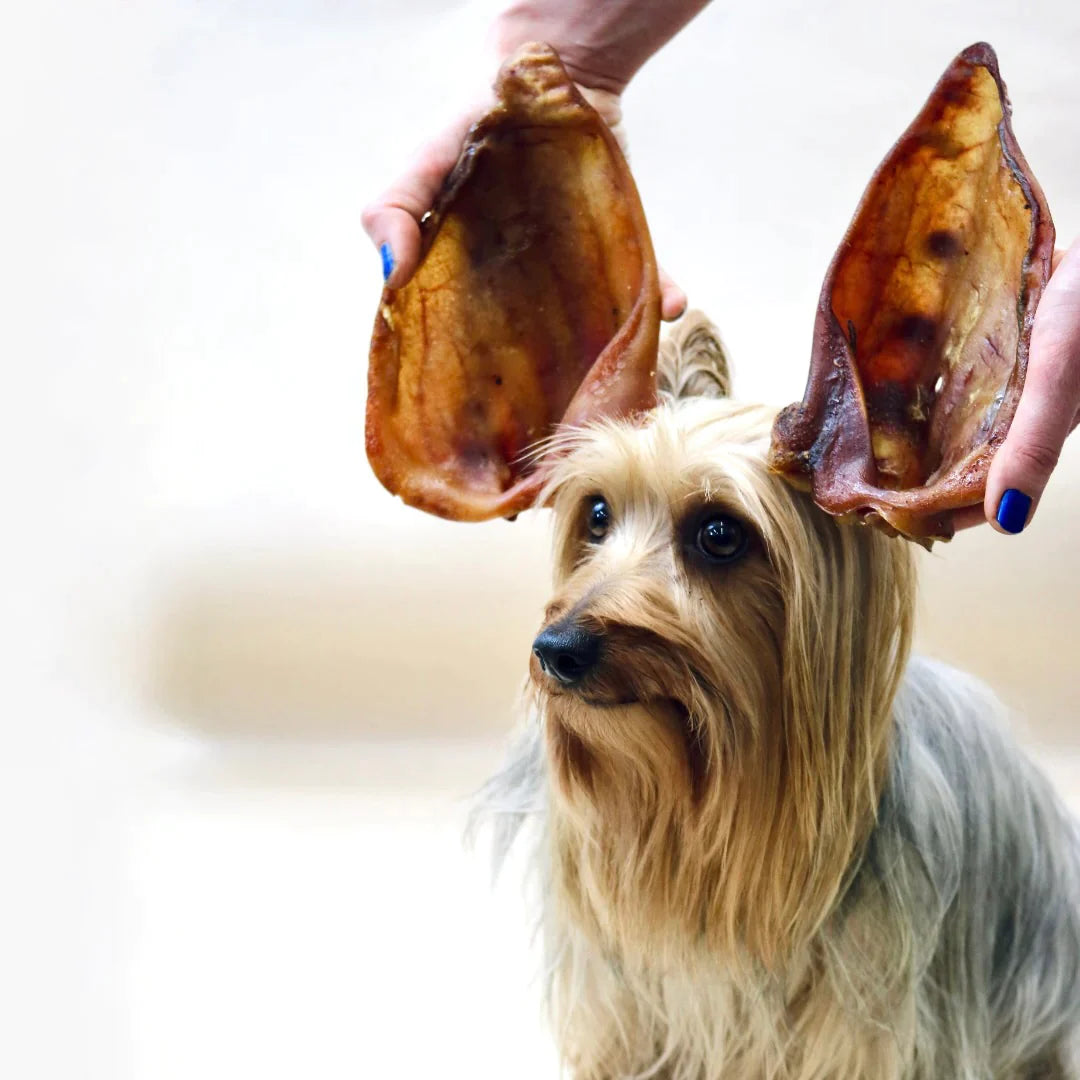 Pigs Ears bulk - natural dog treats