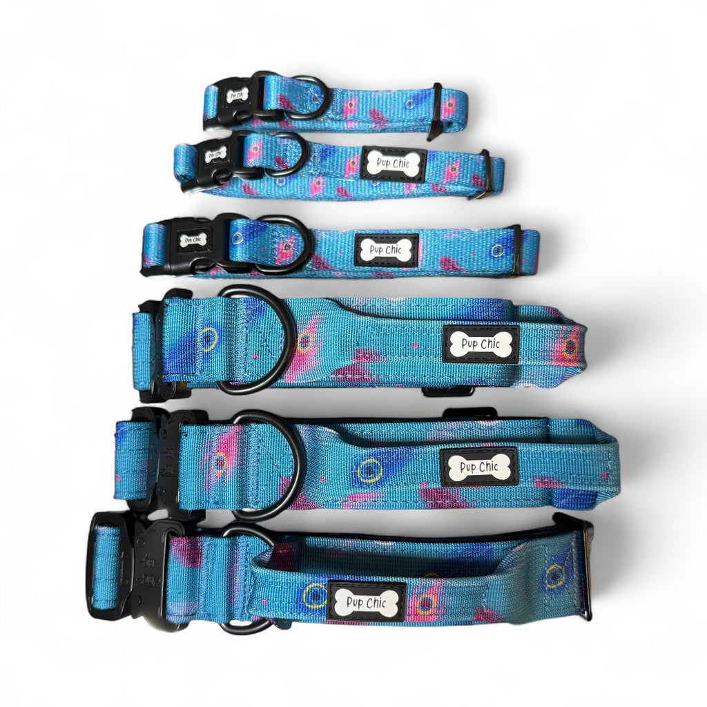 Power Peacock Tactical Dog Collar - Pup Chic Boutique