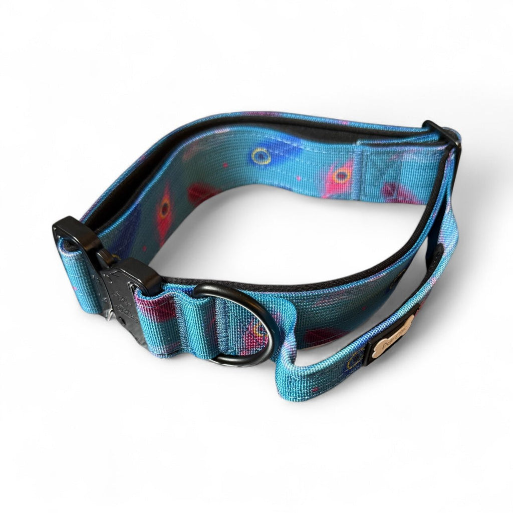 Power Peacock Tactical Dog Collar - Pup Chic Boutique