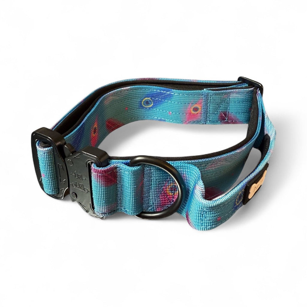 Power Peacock Tactical Dog Collar - Pup Chic Boutique