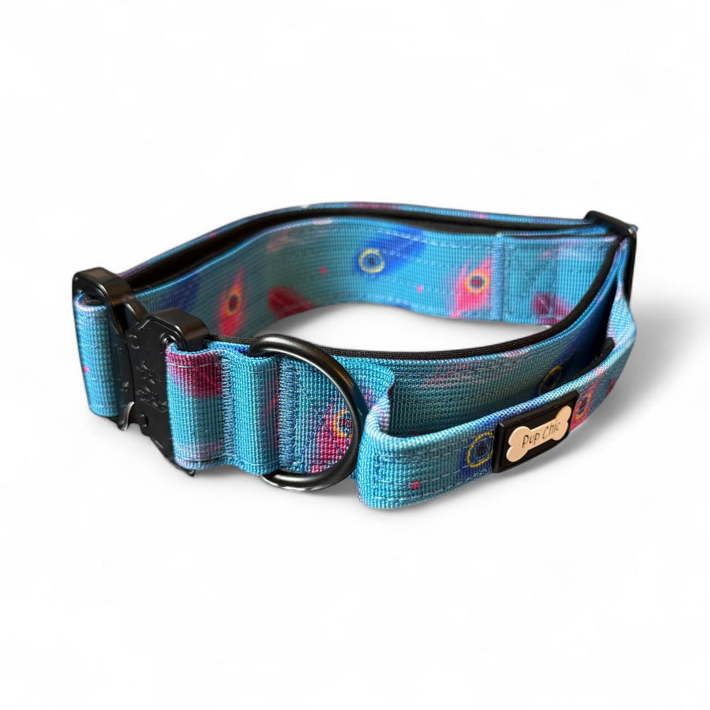 Power Peacock Tactical Dog Collar - Pup Chic Boutique