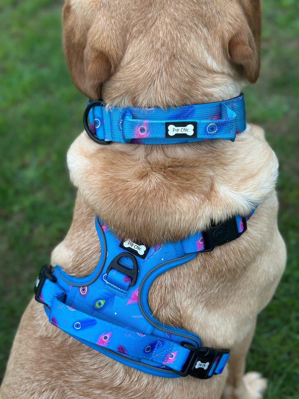 Power Peacock Tactical Dog Harness – No Pull & Fully Adjustable - Pup Chic Boutique