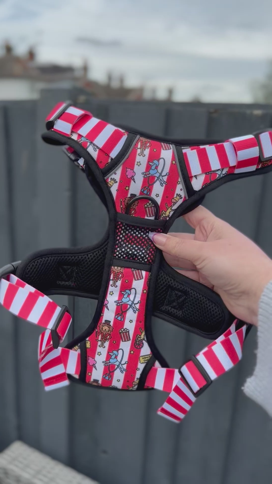 Circus Chic No Pull Tactical Dog Harness – Adjustable; Strong for Big Dogs (L & XL) 🎪🐾 I