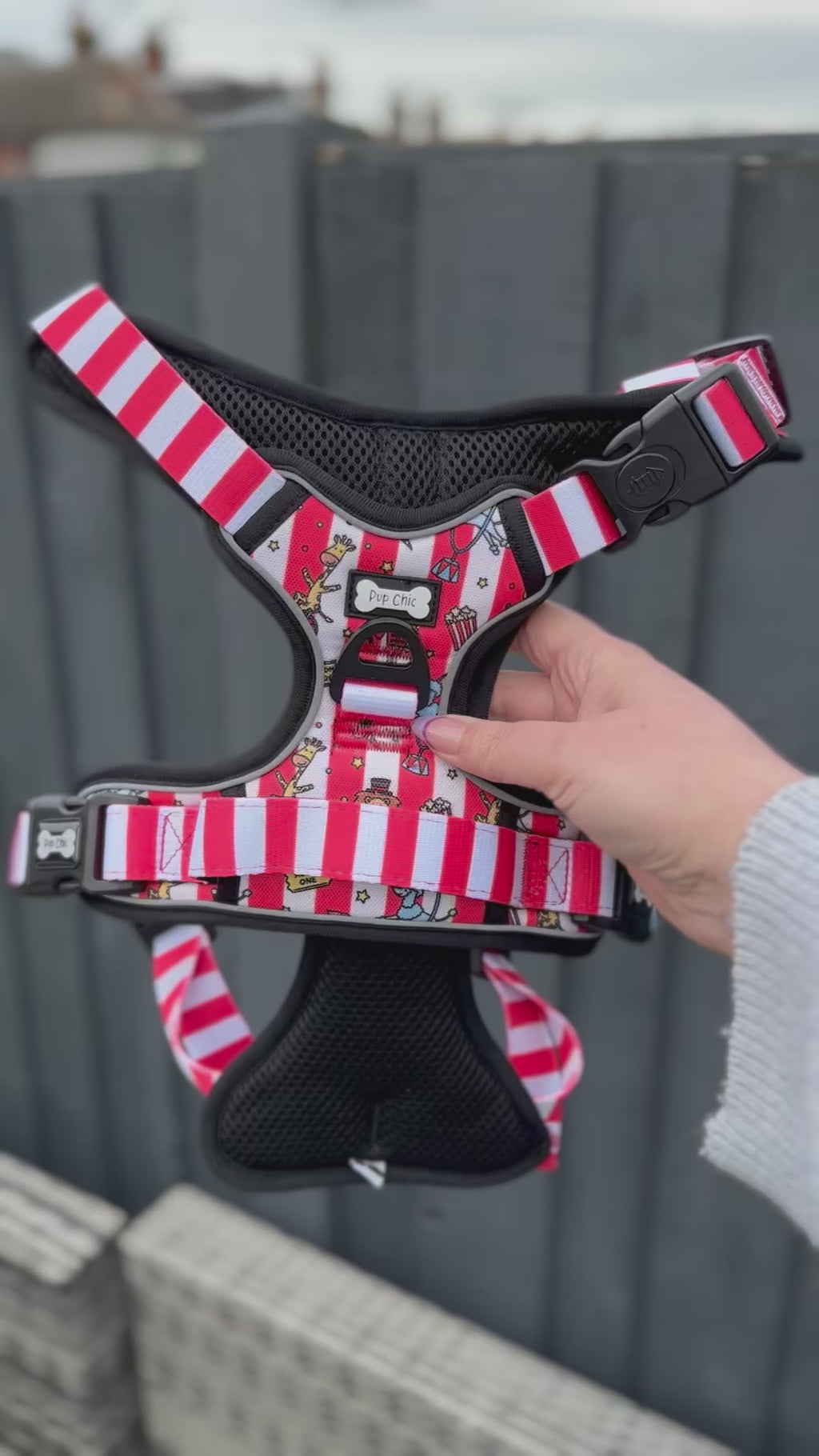 Circus Chic No Pull Tactical Dog Harness – Adjustable; Strong for Big Dogs (L & XL) 🎪🐾 I