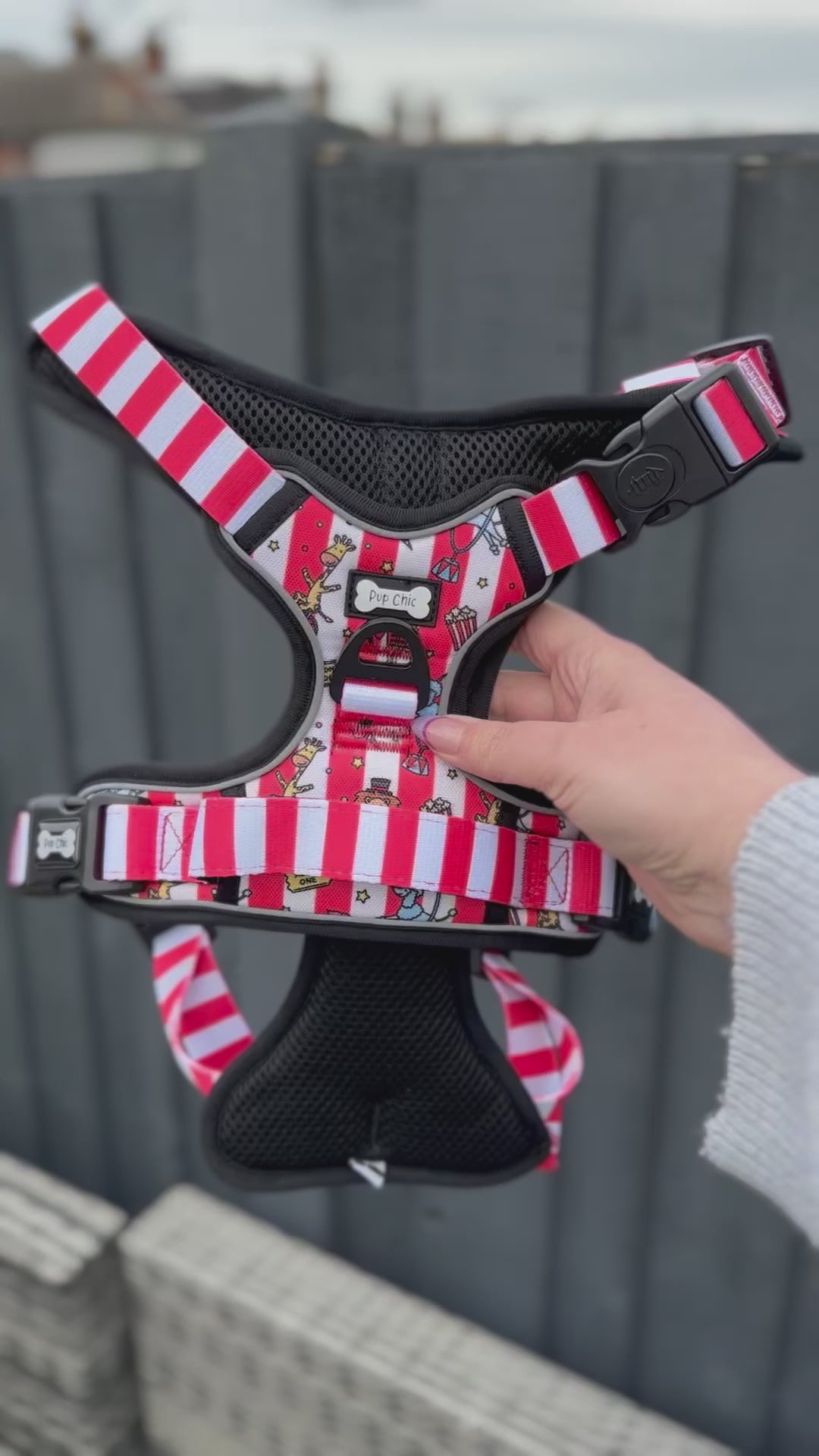 Circus Chic No Pull Tactical Dog Harness – Adjustable; Strong for Big Dogs (L & XL) 🎪🐾 I