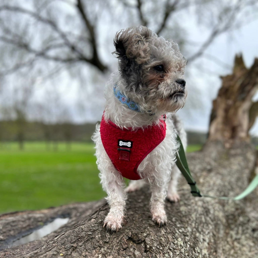 Ruby Red fleece harness - adjustable dog harness - Pup Chic Boutique