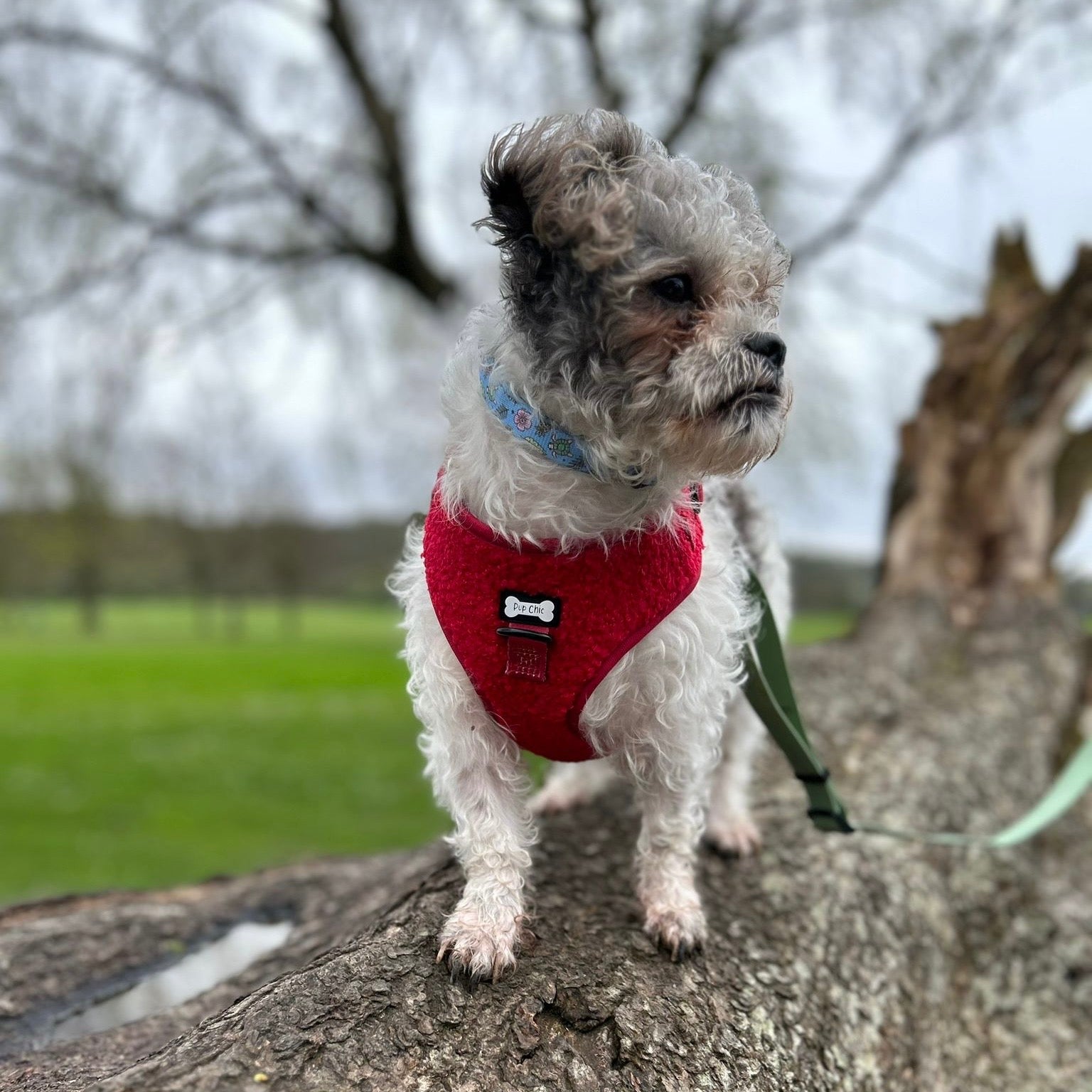 Ruby Red fleece harness - adjustable dog harness - Pup Chic Boutique