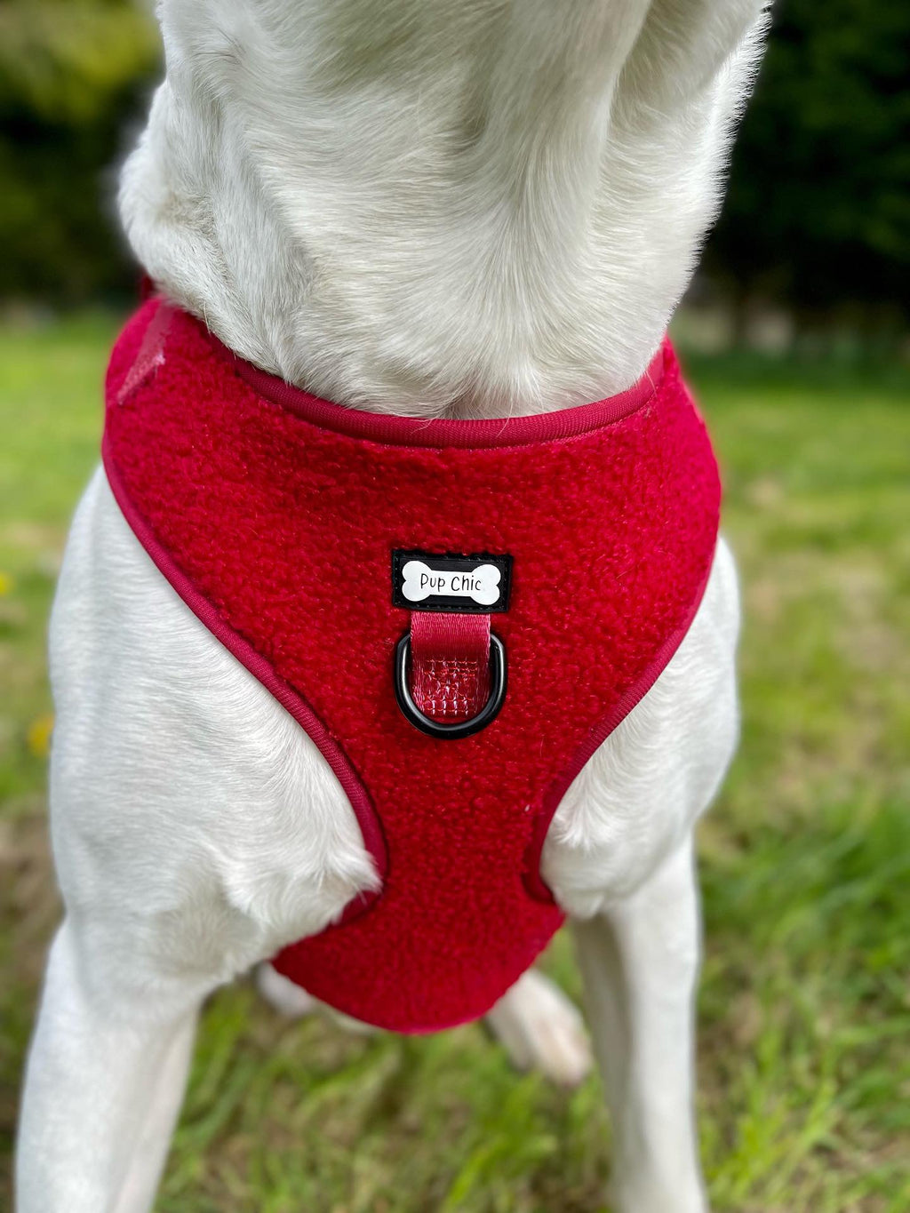 Ruby Red fleece harness - adjustable dog harness - Pup Chic Boutique
