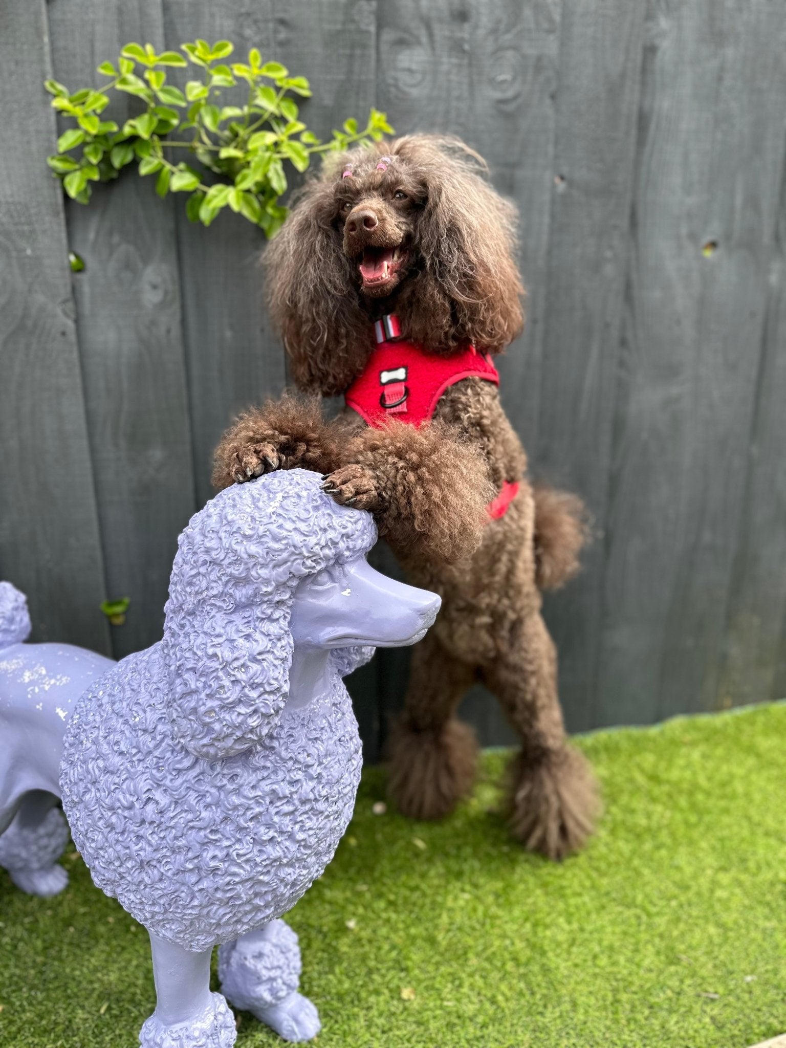 Ruby Red fleece harness - adjustable dog harness - Pup Chic Boutique