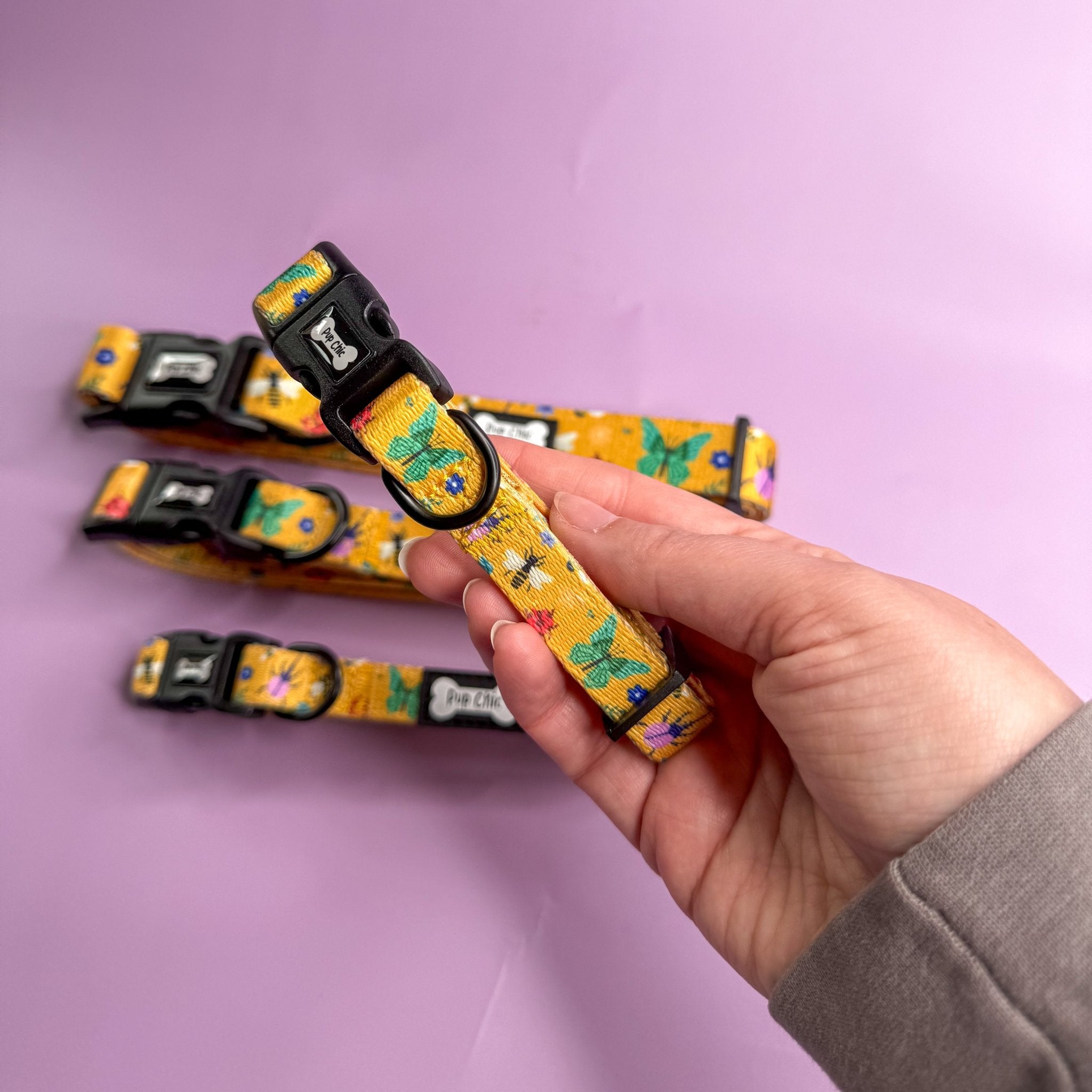 Summer Buzzin’ Dog Collar - Pup Chic Boutique