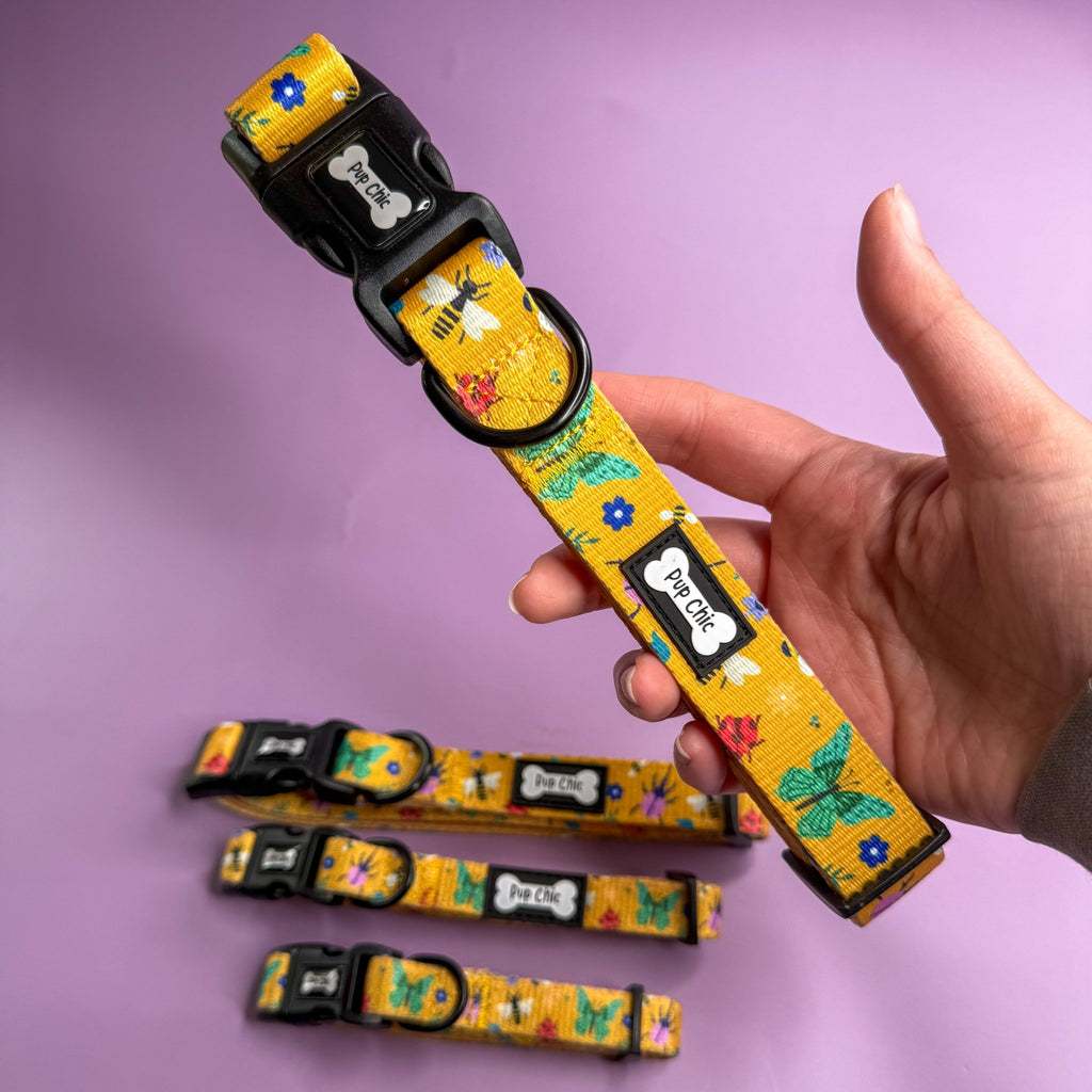 Summer Buzzin’ Dog Collar - Pup Chic Boutique