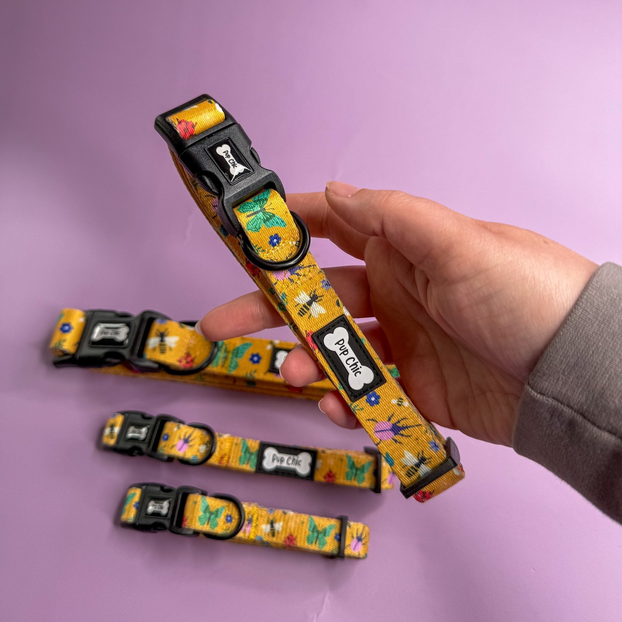 Summer Buzzin’ Dog Collar - Pup Chic Boutique