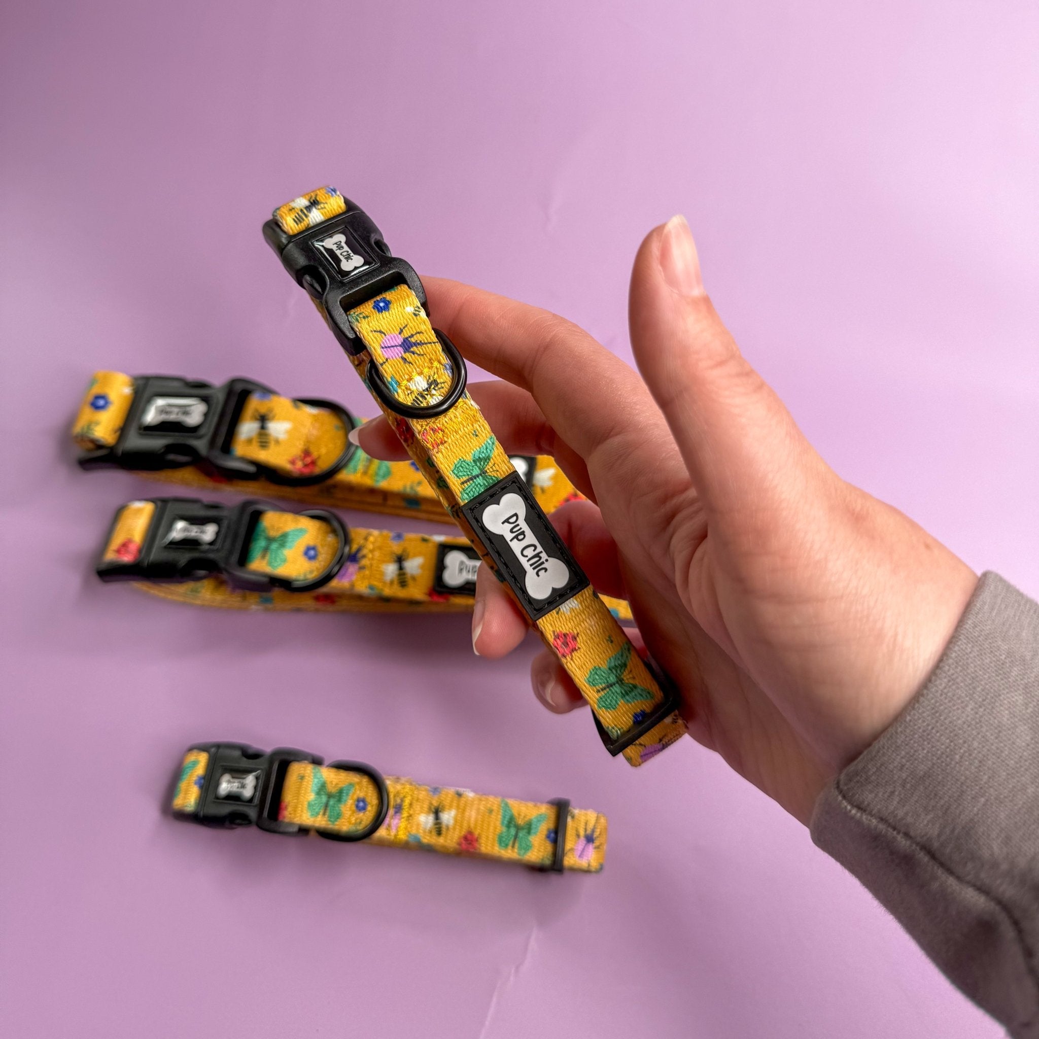 Summer Buzzin’ Dog Collar - Pup Chic Boutique