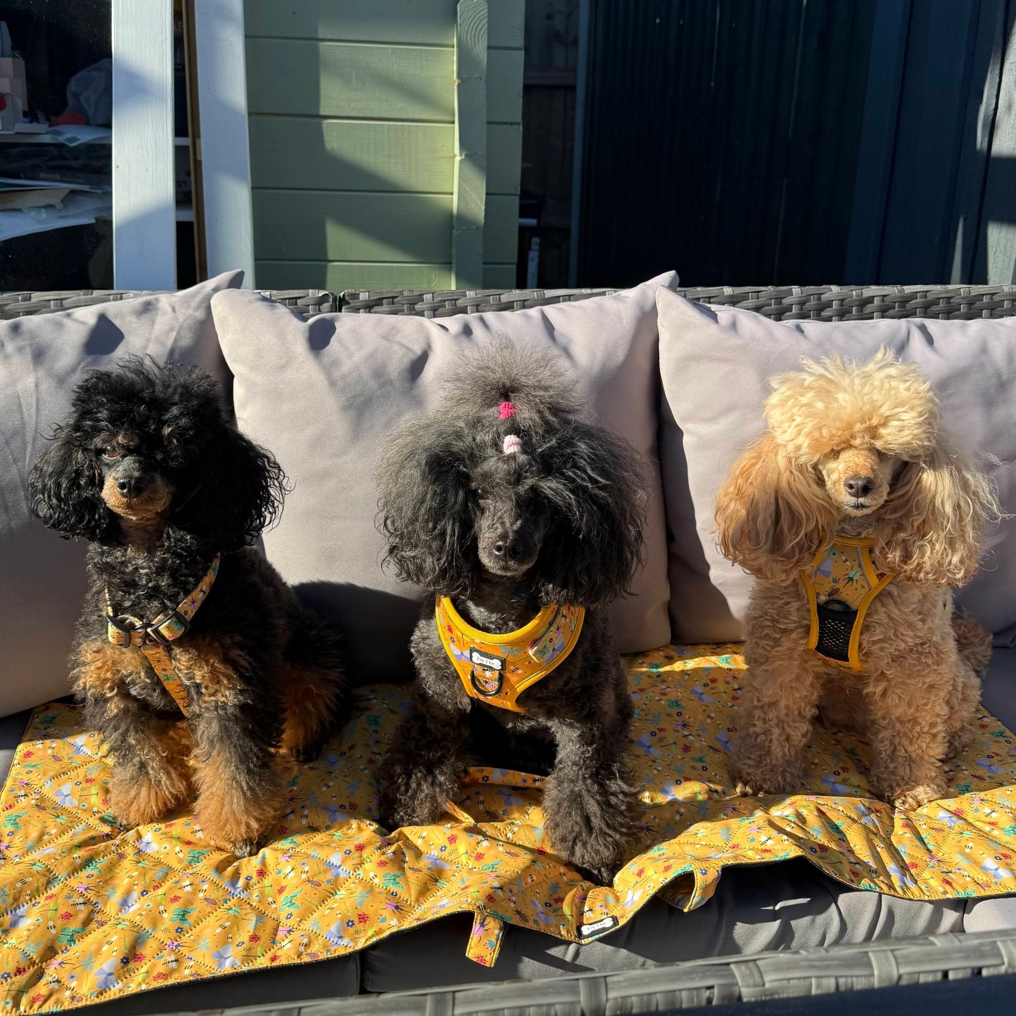 Summer Buzzin' Dog Settle Mat – Lightweight, Waterproof & Travel - Friendly - Pup Chic Boutique