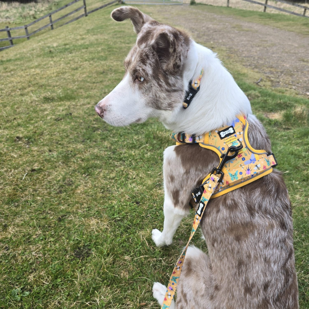 Summer Buzzin' No Pull Tactical Dog Harness – Yellow Insect Print, Adjustable, Step - In (XS - XL) - Pup Chic Boutique