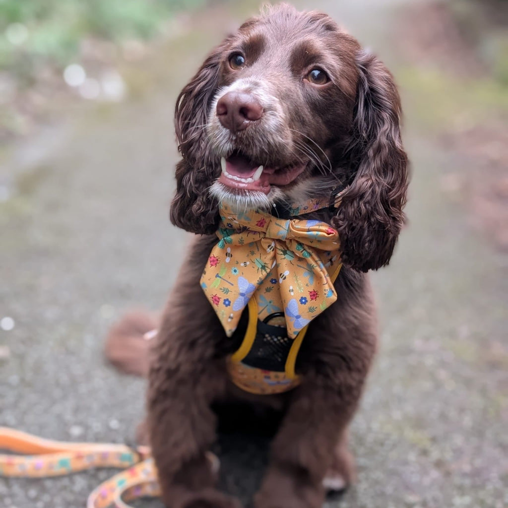 Summer Buzzin’ Sailor bow - Pup Chic Boutique